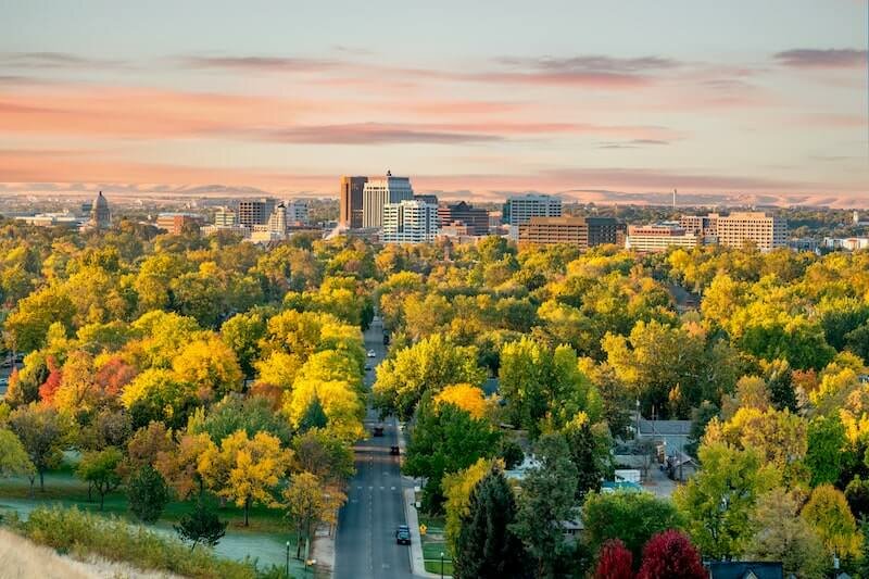 overview of the Idaho real estate market