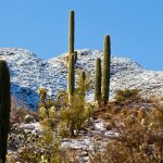 How to Sell Your House for Cash in the winter