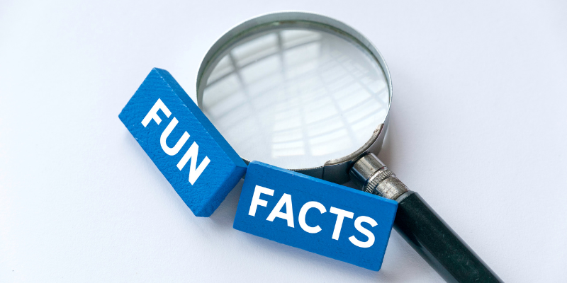Cool Facts Louisville, KY
