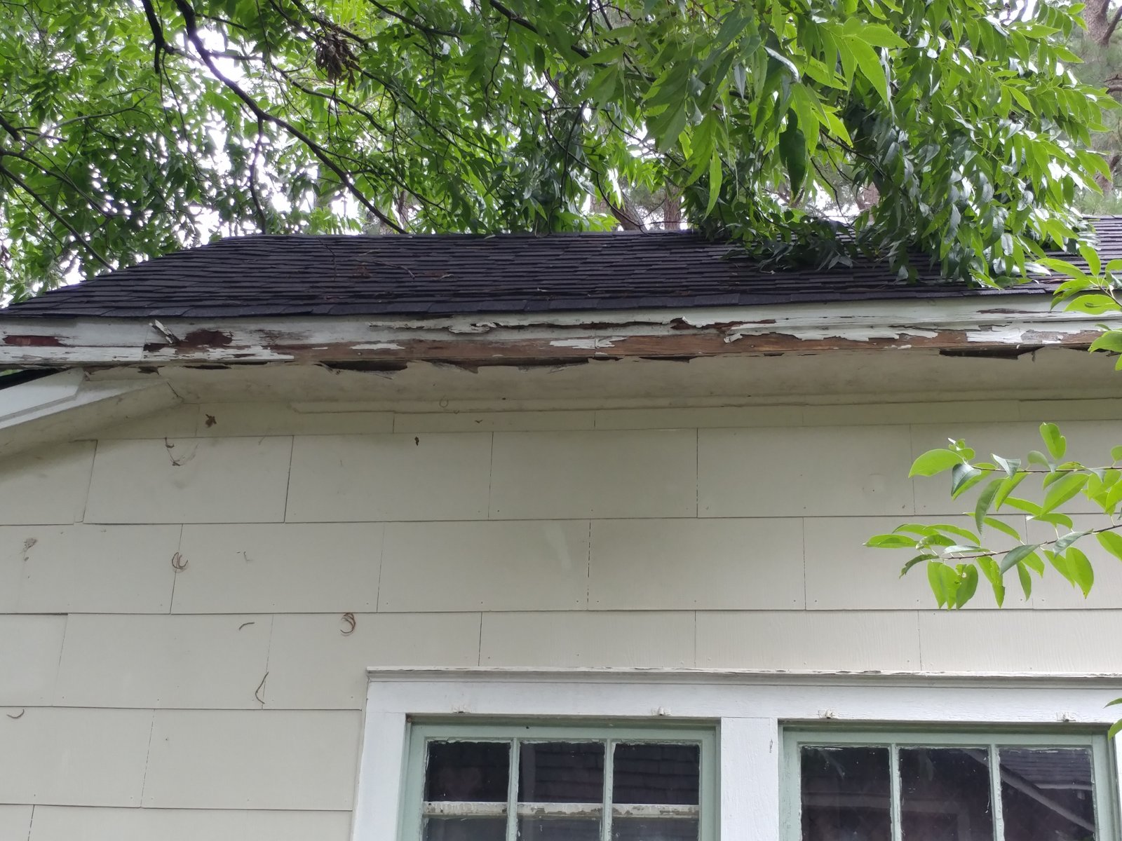 3/1 Gastonia Historic York Chester P G Buys Houses