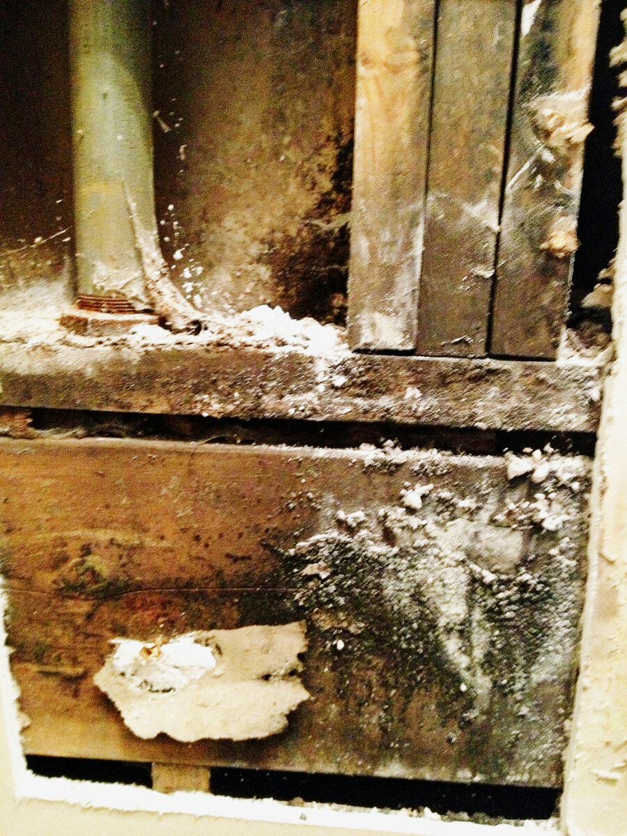Selling A House With Mold Damage We Buy Houses With Mold in Omaha