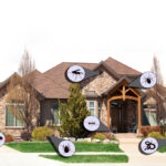How to avoid Pest in your House