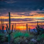 5 Reasons To Use A Wholesaler To Sell Your House In Tucson