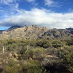 Vacant Land Buyer