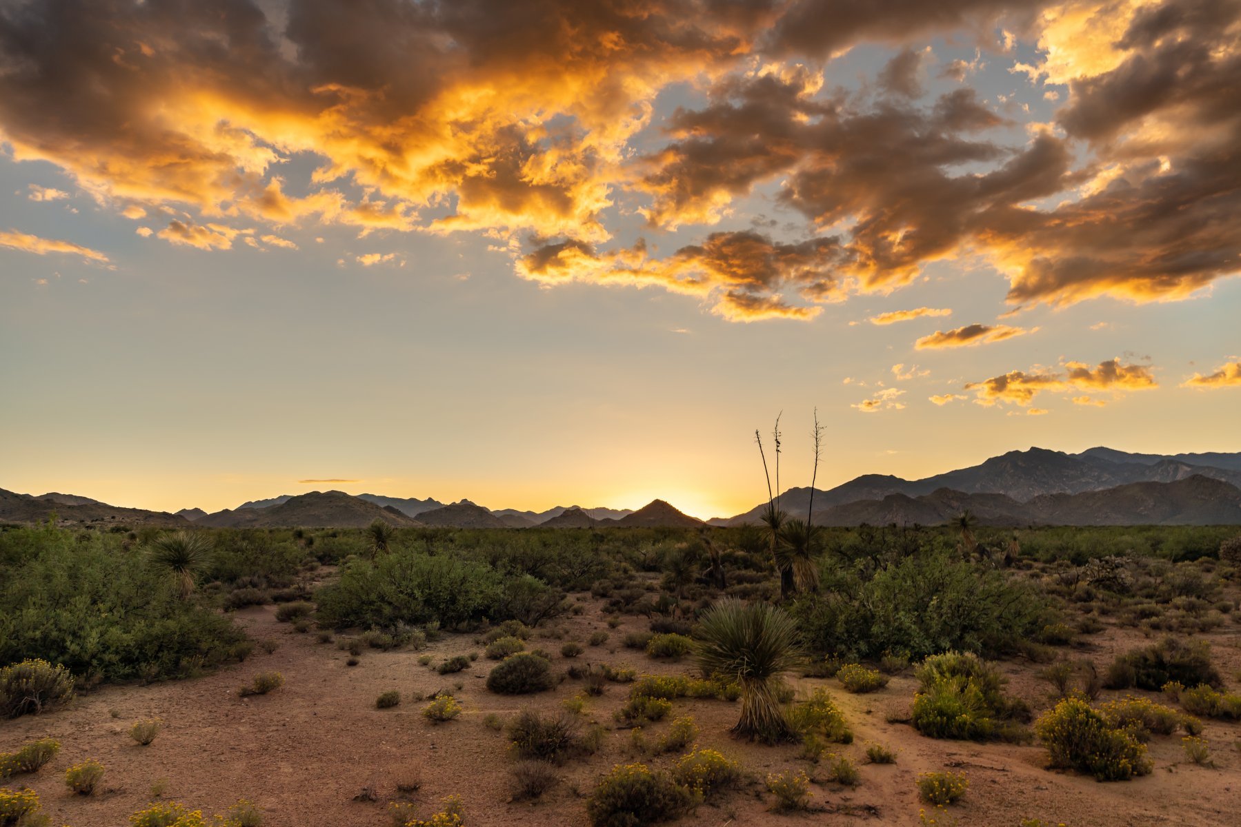 Sell Your Land near me in Arizona Fast!