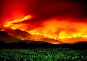 Napa Valley Fire 2017