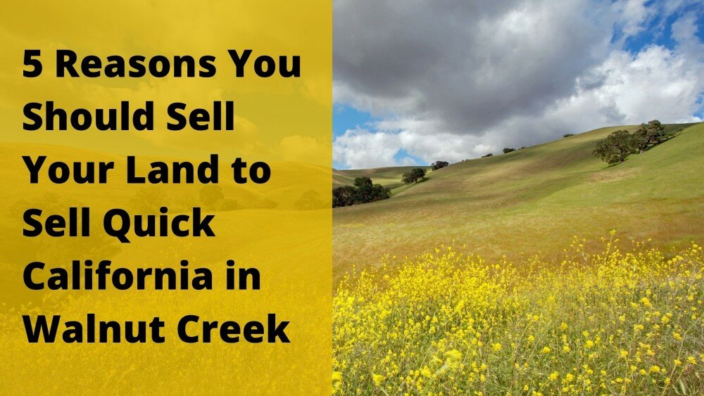 We buy properties in Walnut Creek