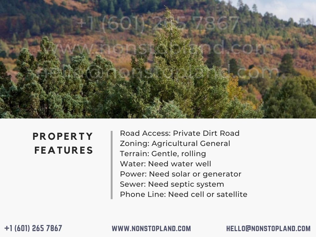 .25 acres of Beautiful Land in Tierra Amarilla in Rio Arriba County, NM