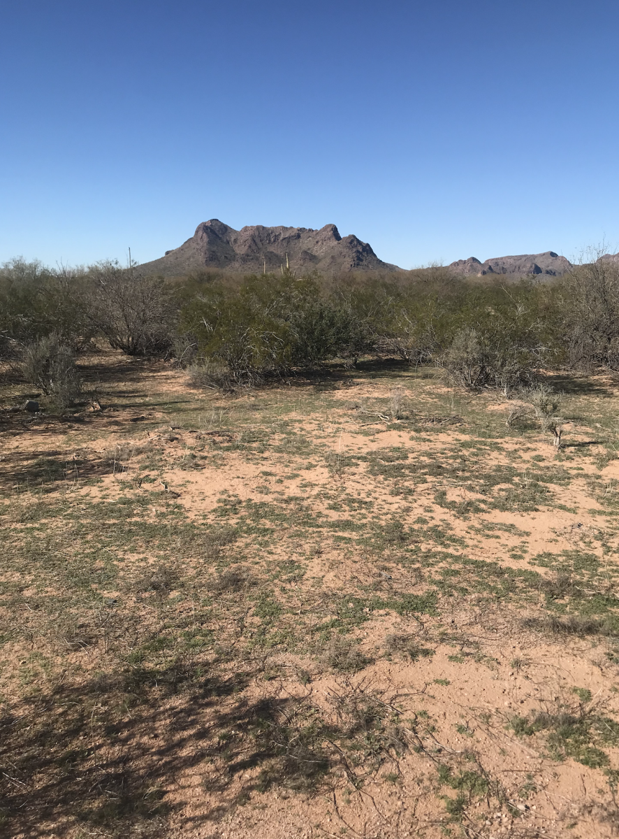 3.47 Acres Silverbell Estates, Pinal County, AZ LandGen Rural