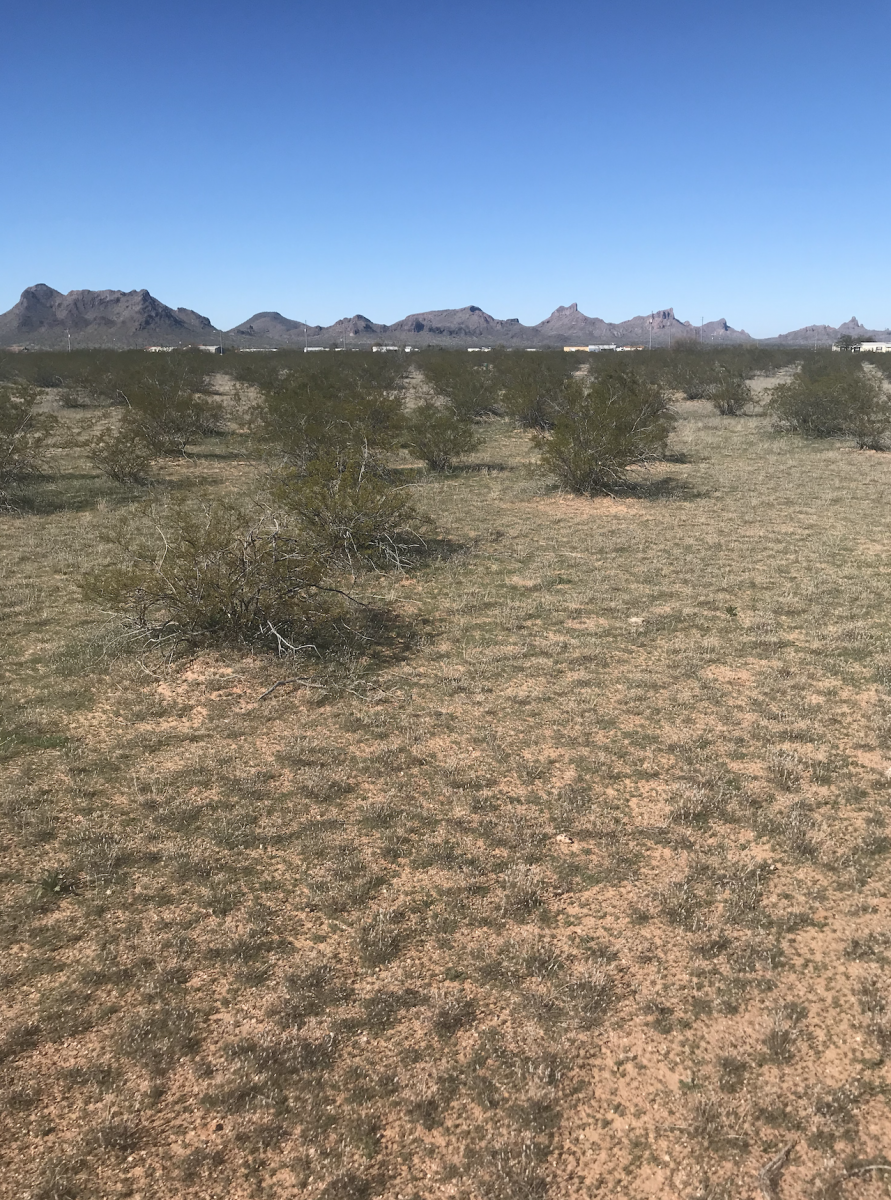3.48 Acres Silverbell Estates, Pinal County, AZ LandGen Rural