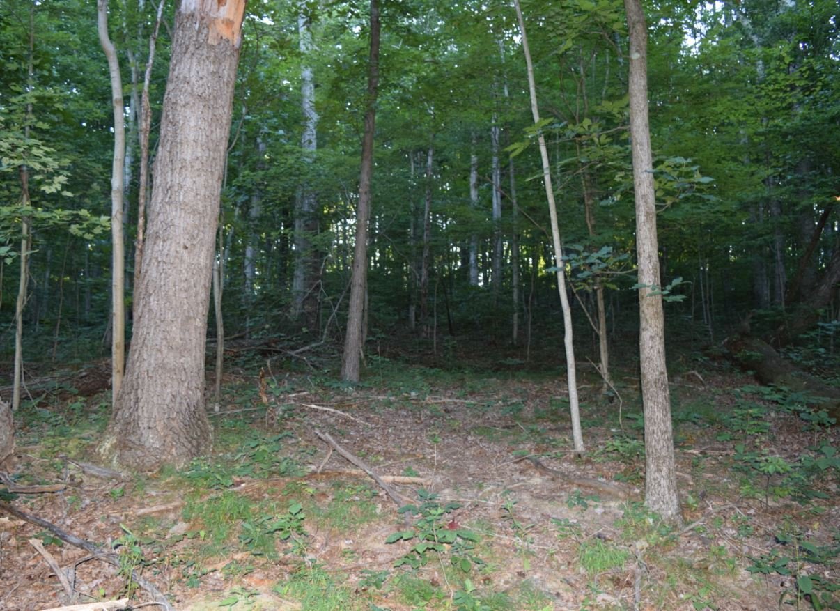 1.12 Acres Ross County, Ohio FC Land Sales