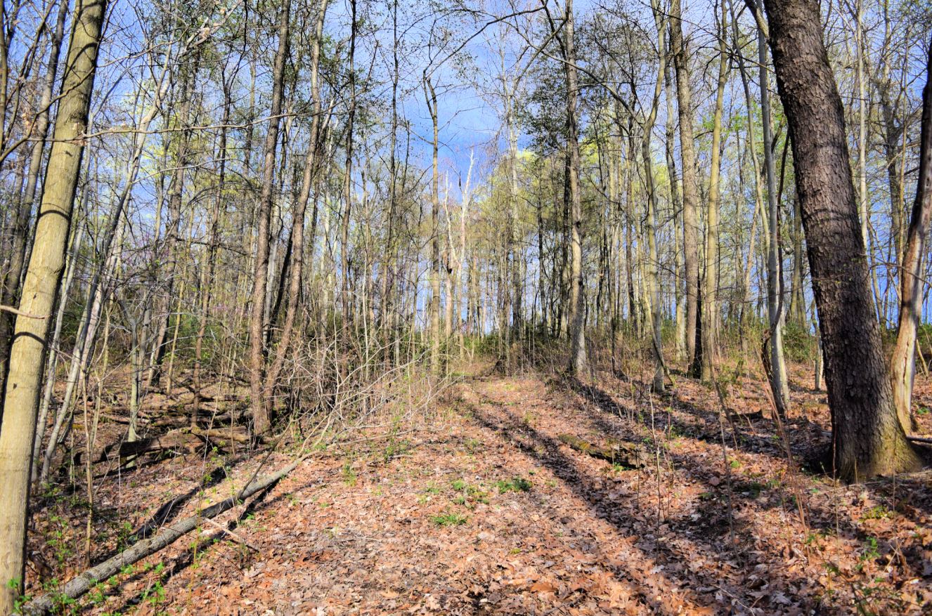 7.54 Acre Lot for Sale in County, OH FC Land Sales