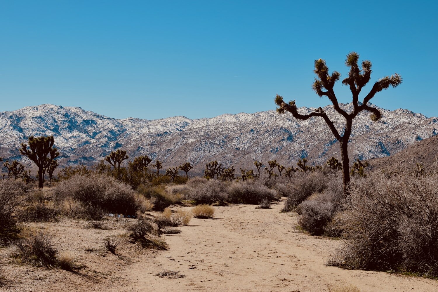 Rural Residential Vacant Land com For Sale in California, USA