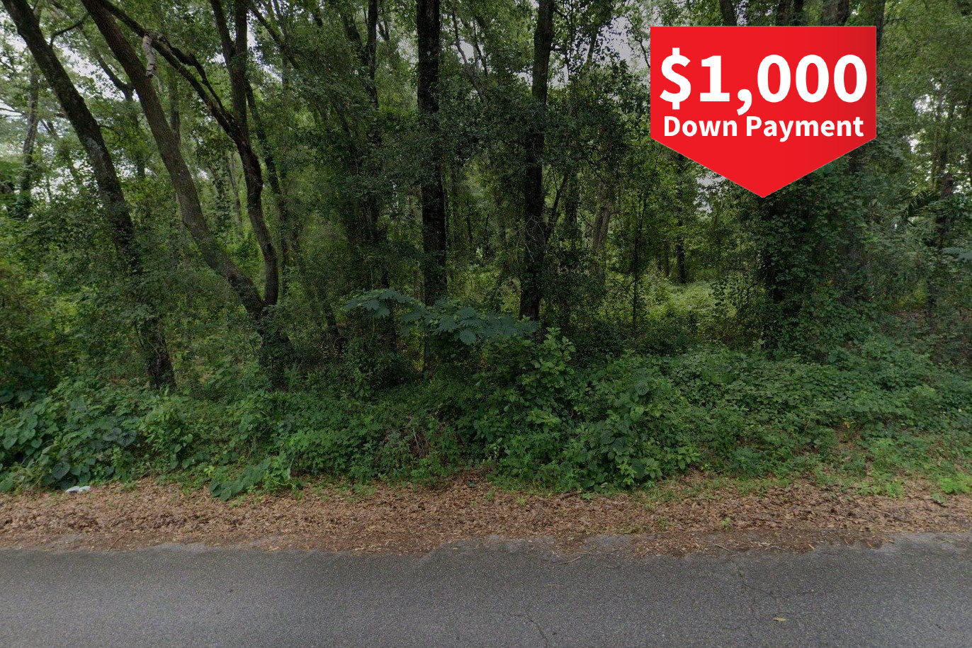 0.28 Acre Ocklawaha, Marion County, FL (Power & Paved Road
