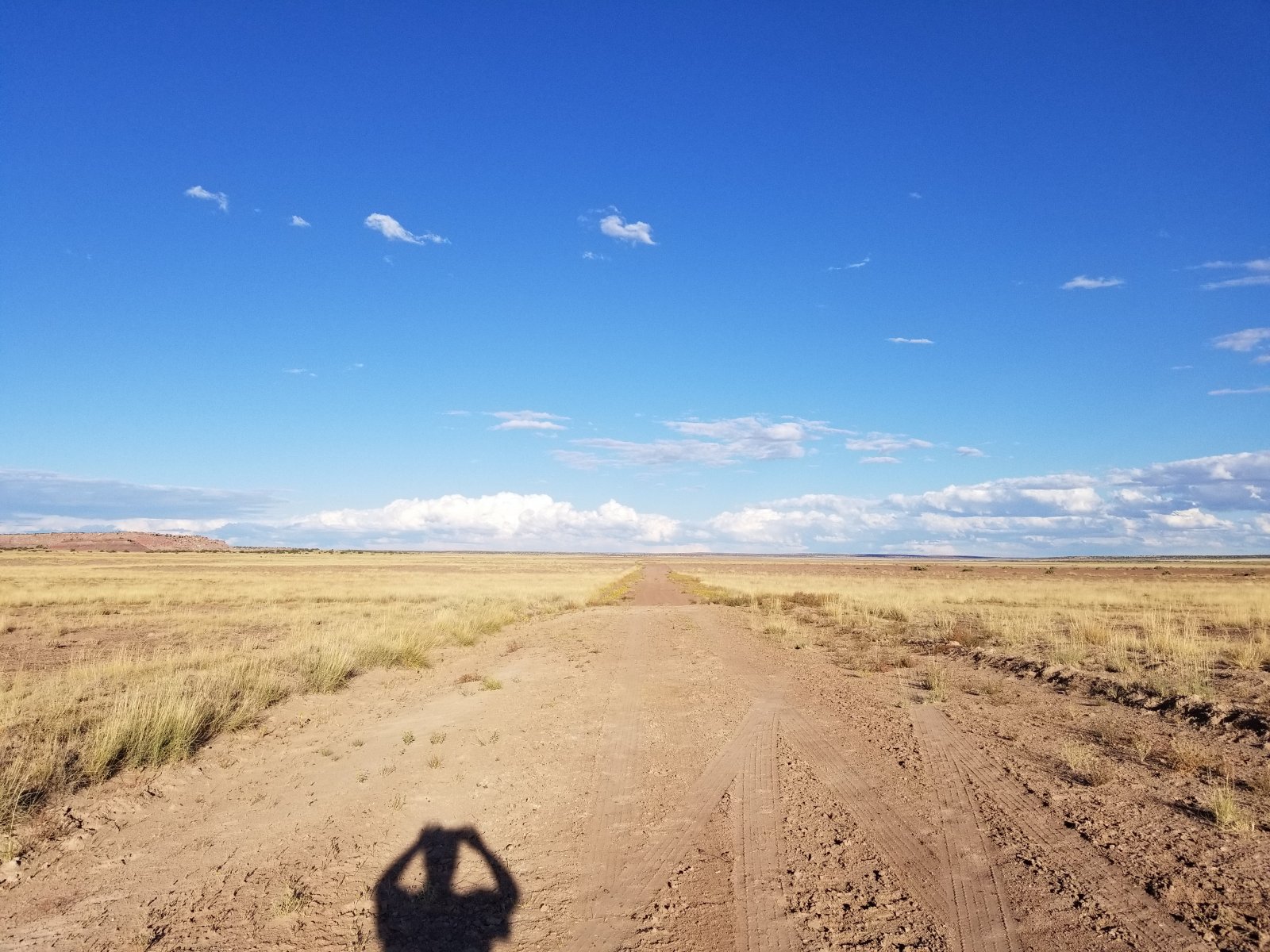 Apache County, Arizona Land 40 Acres Western Land Company