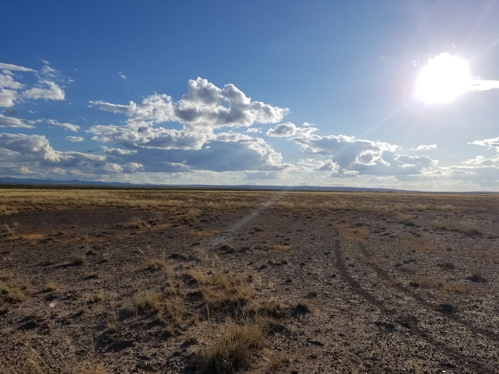 Apache County, Arizona Land 40 Acres Western Land Company