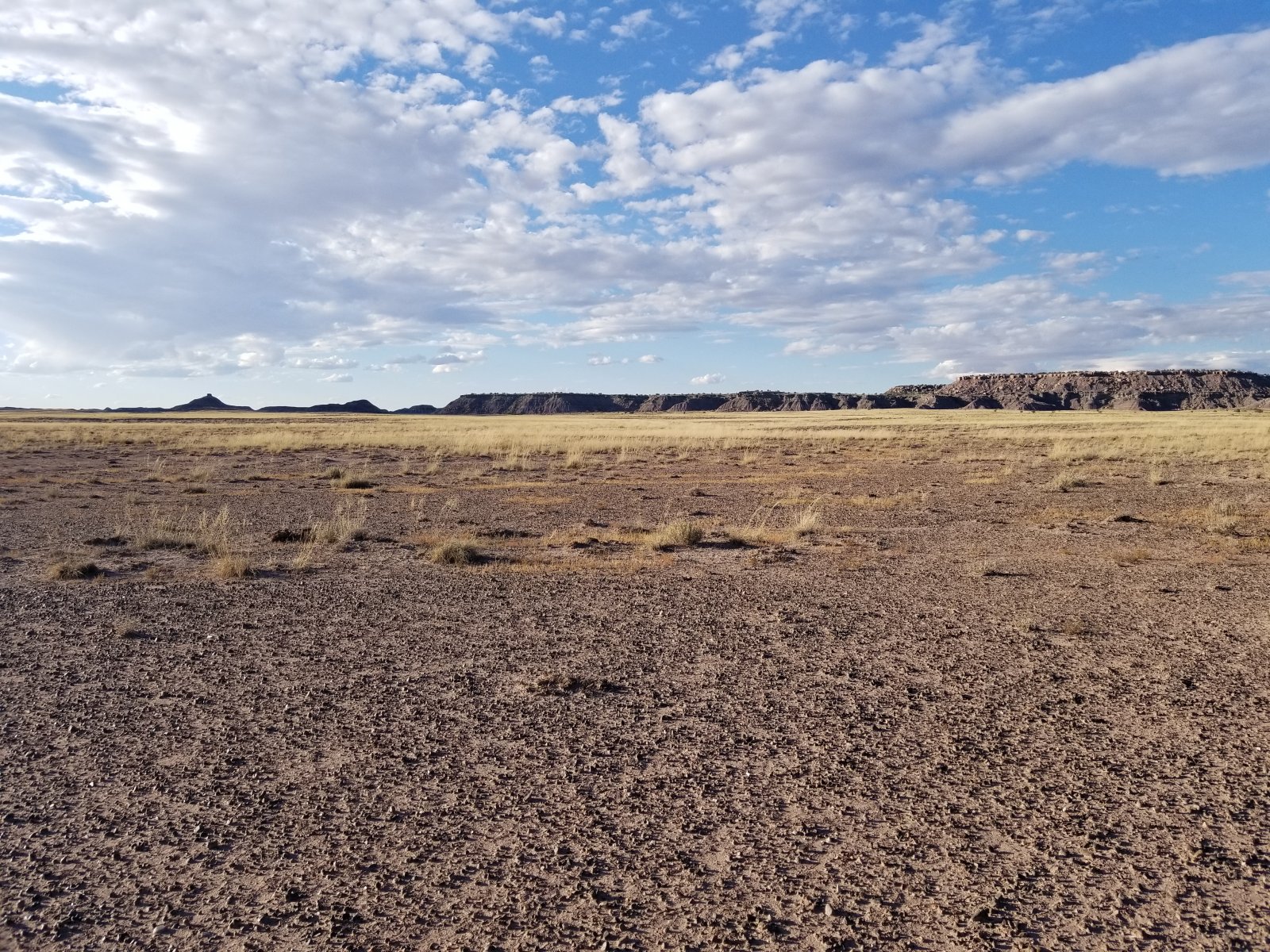 Apache County, Arizona Land 40 Acres Western Land Company