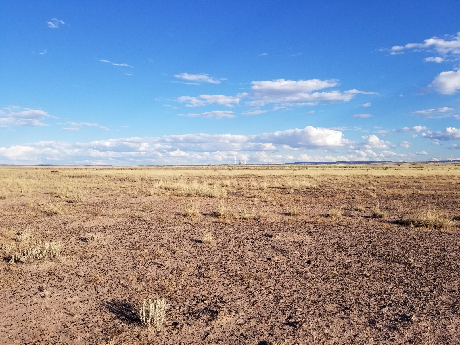 Apache County, Arizona Land 40 Acres Western Land For Sale