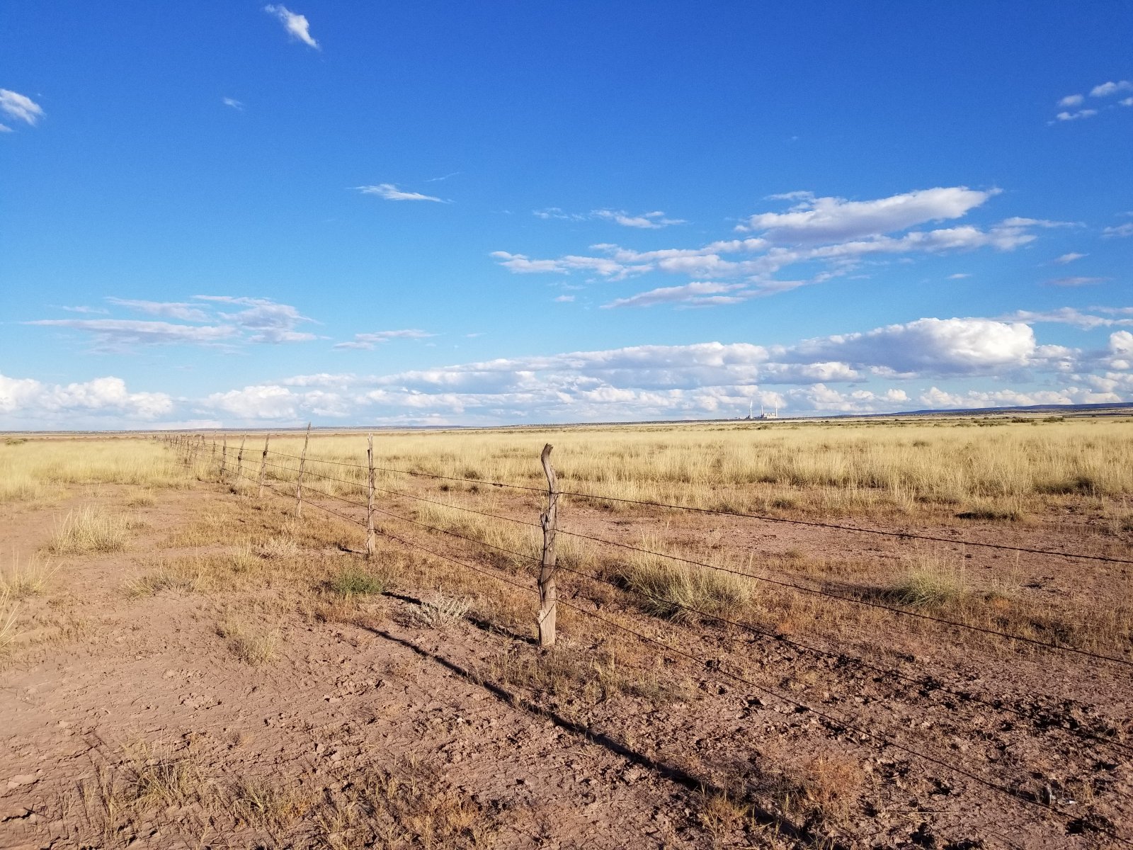 Apache County, Arizona Land 40 Acres Western Land For Sale
