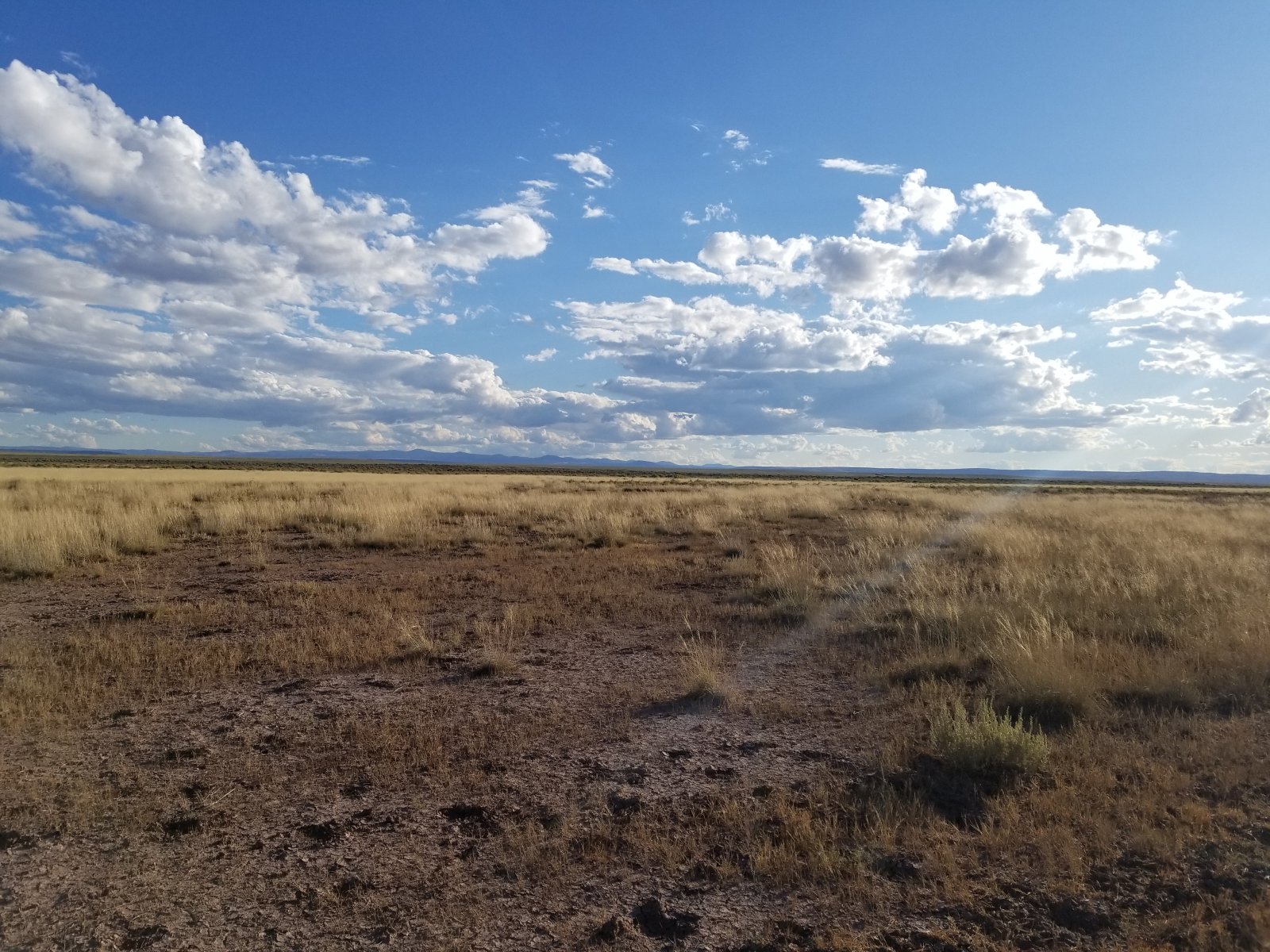 Apache County, Arizona Land 40 Acres Western Land For Sale