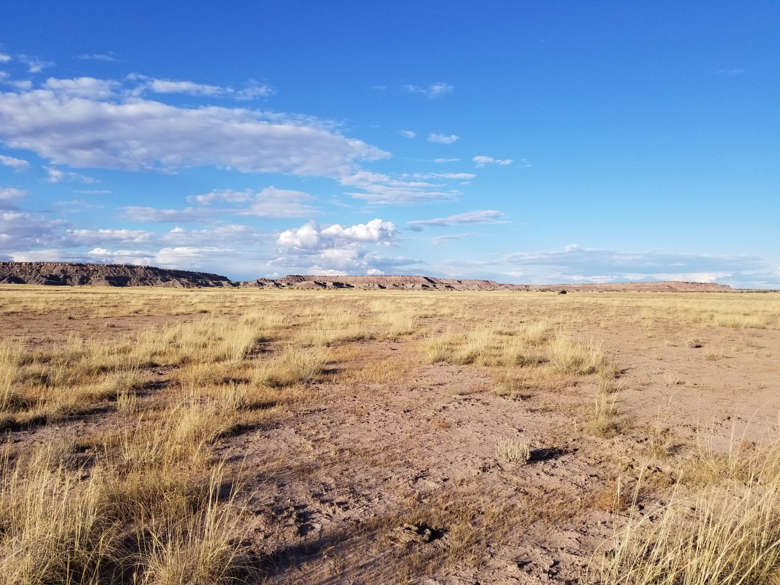 Apache County, Arizona Land 40 Acres Western Land For Sale