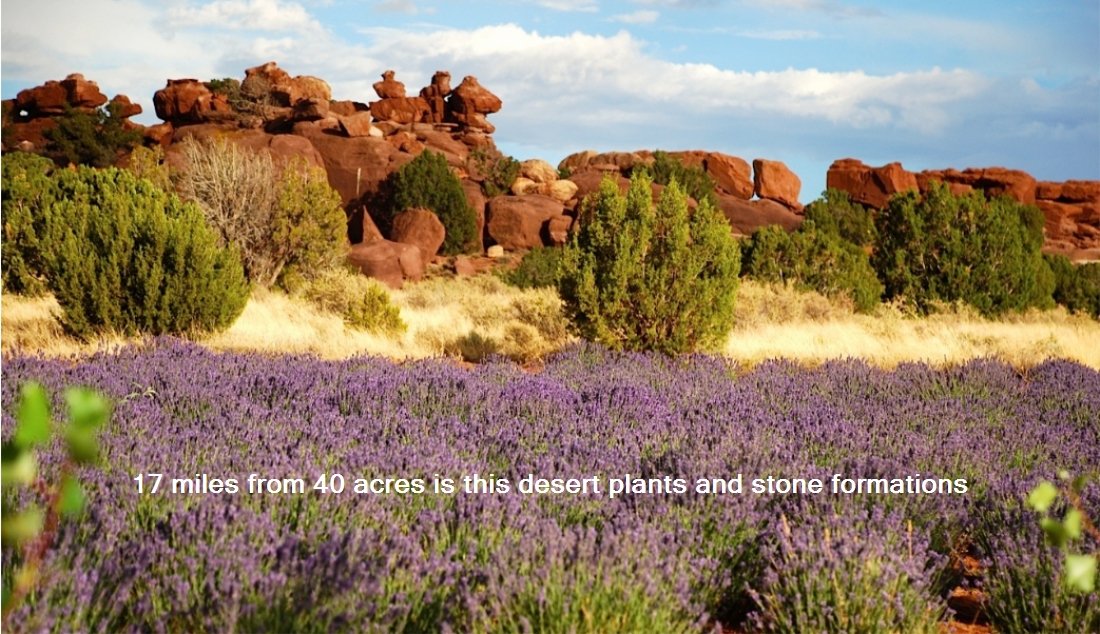 Apache County, Arizona Land 40 Acres Western Land Company