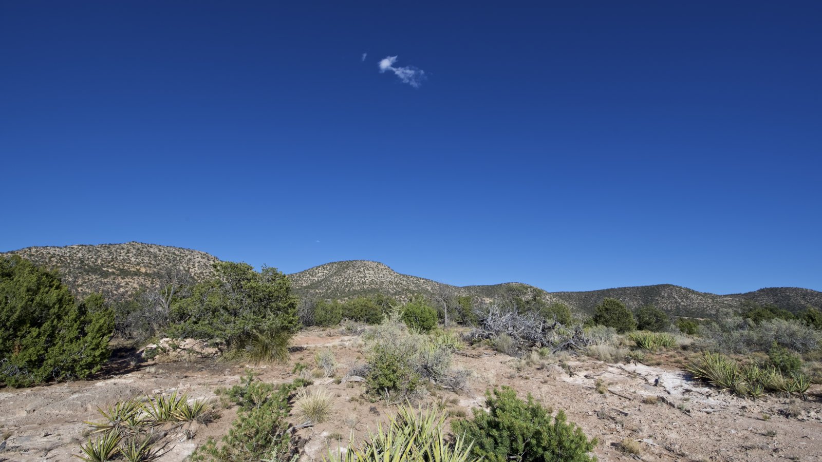 Deer Canyon Preserve Torrance County, NM. 21.5 Acre lot Gated Community