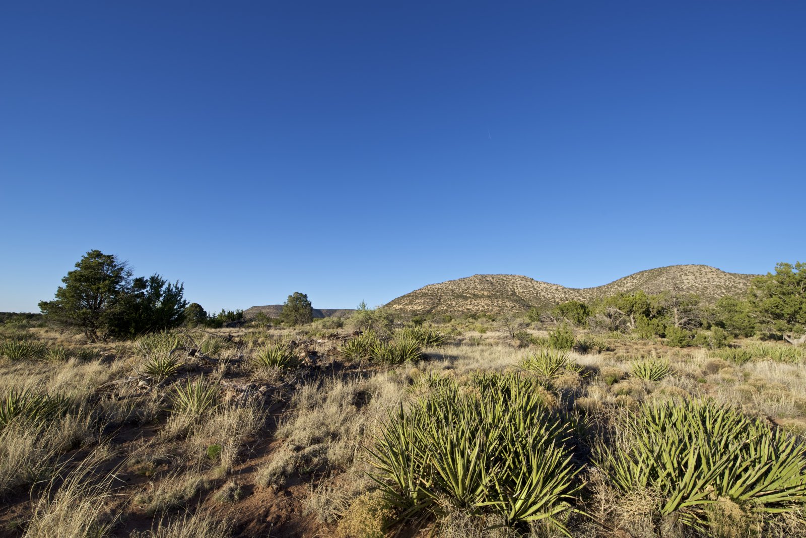 Deer Canyon Preserve Torrance County, NM. 21.5 Acre lot Gated Community