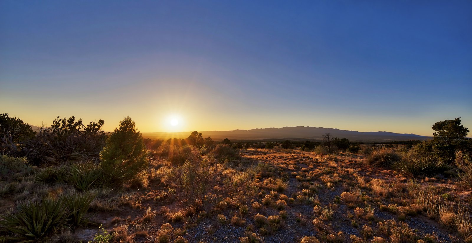 Deer Canyon Preserve Torrance County, NM. 21.5 Acre lot Gated Community