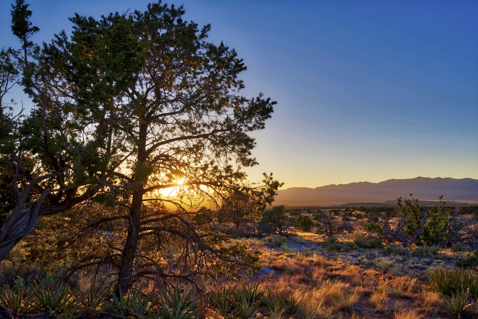 Deer Canyon Preserve Torrance County, NM. 21.5 Acre lot Gated Community