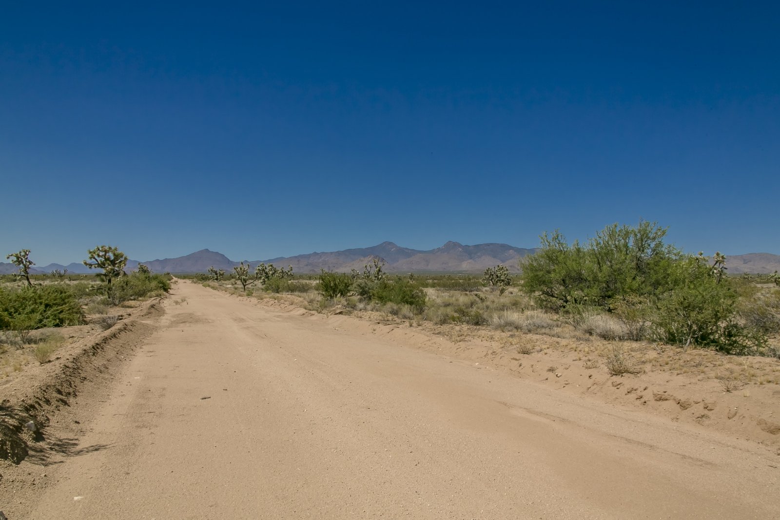 Mohave County, Arizona 40 Acre Ranch Property Western Land Company