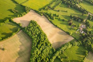 How much does an acre of land cost in Virginia?