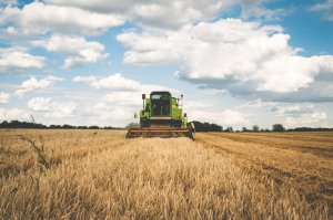 How much does land cost per acre in Virginia