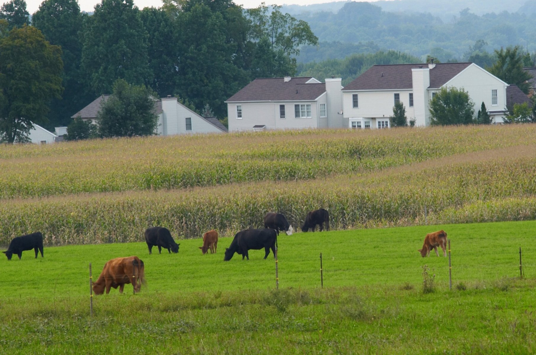 Land for sale in Warrenton VA