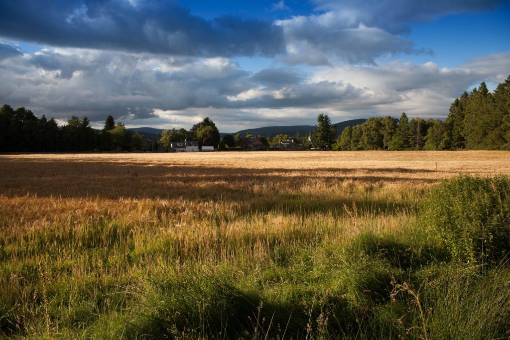 Sell My Vacant Land Columbus GA | We Buy Land In Columbus Online
