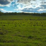 Buy Vacant Land Nationwide