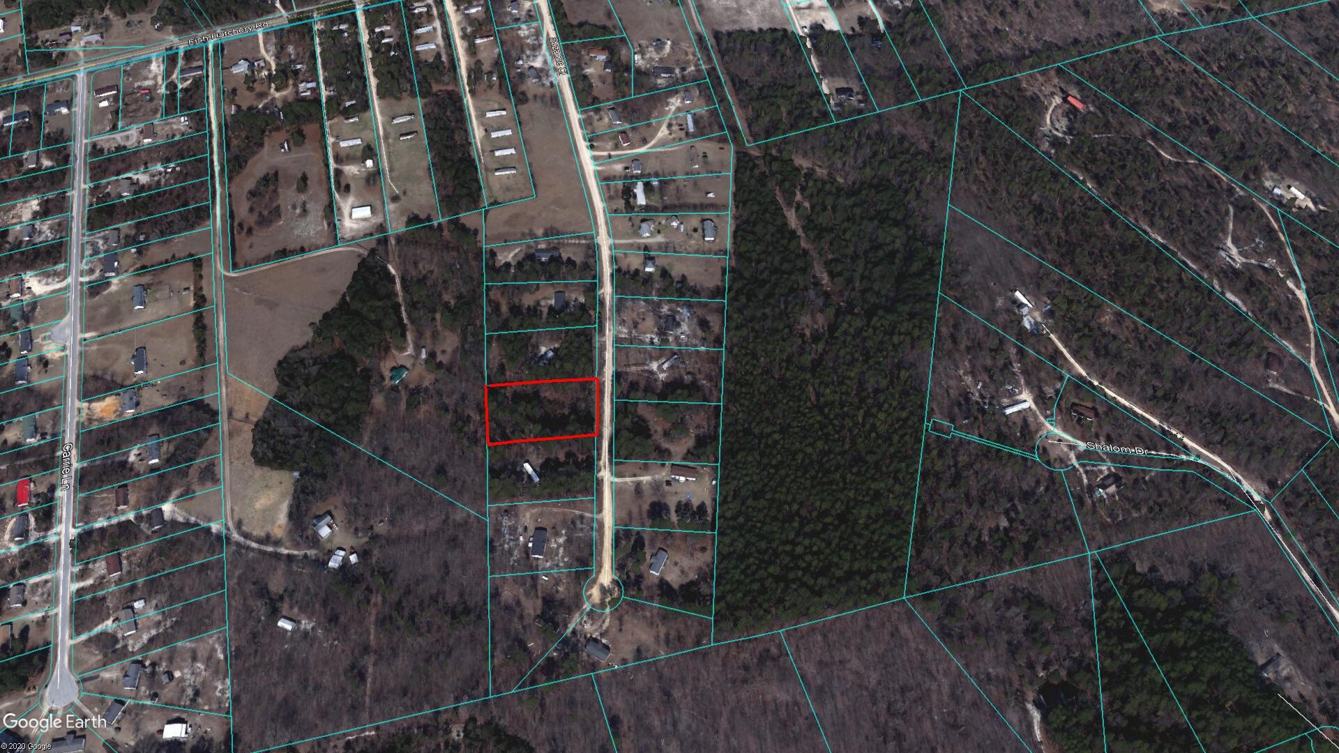 Lexington County GA Land Center