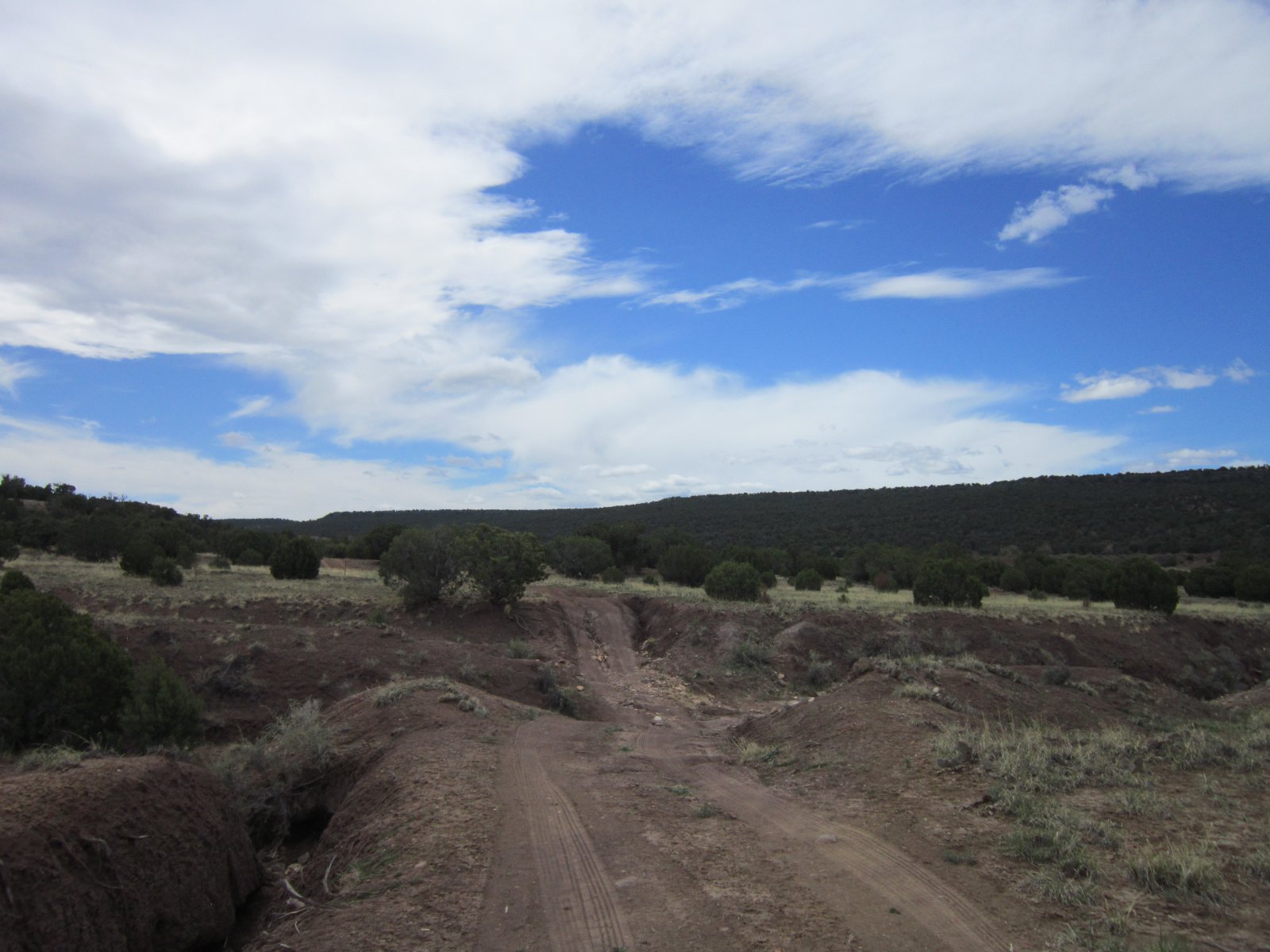 Land For Sale In Arizona AZ Land For Sale Lands For You