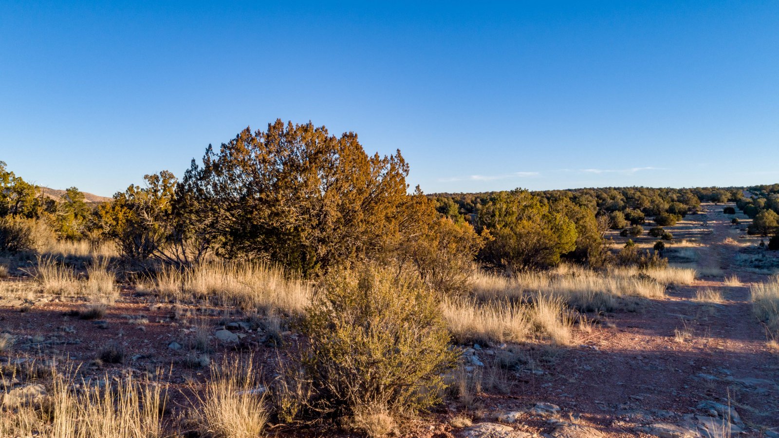 Land For Sale In Arizona AZ Land For Sale Lands For You