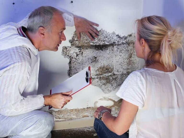 Did You Know That You Can Sell a House with Mold Damage?