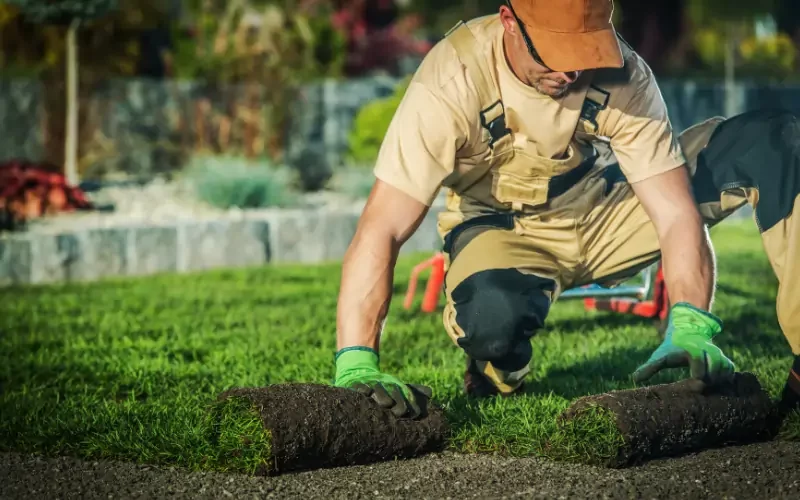 Landscaping and Outdoor Features