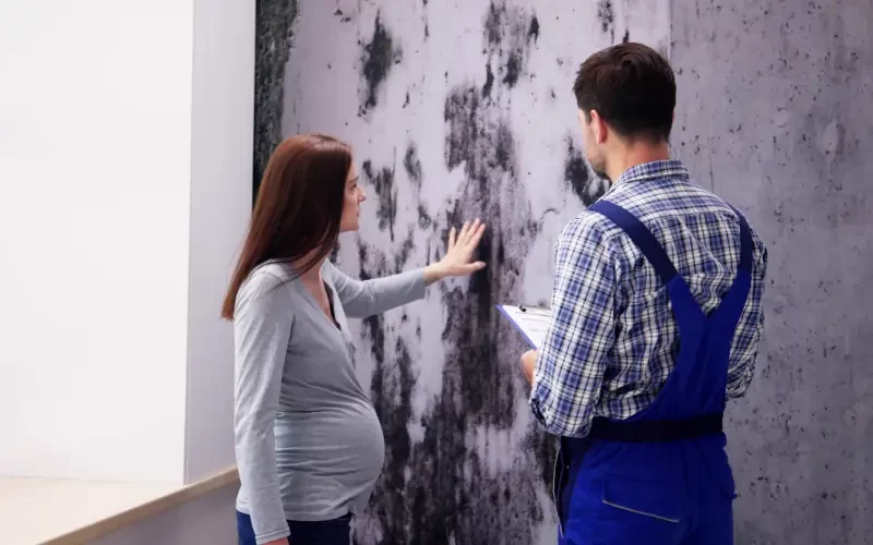 How to Sell a House With Mold in TX (Even With Major Issues)