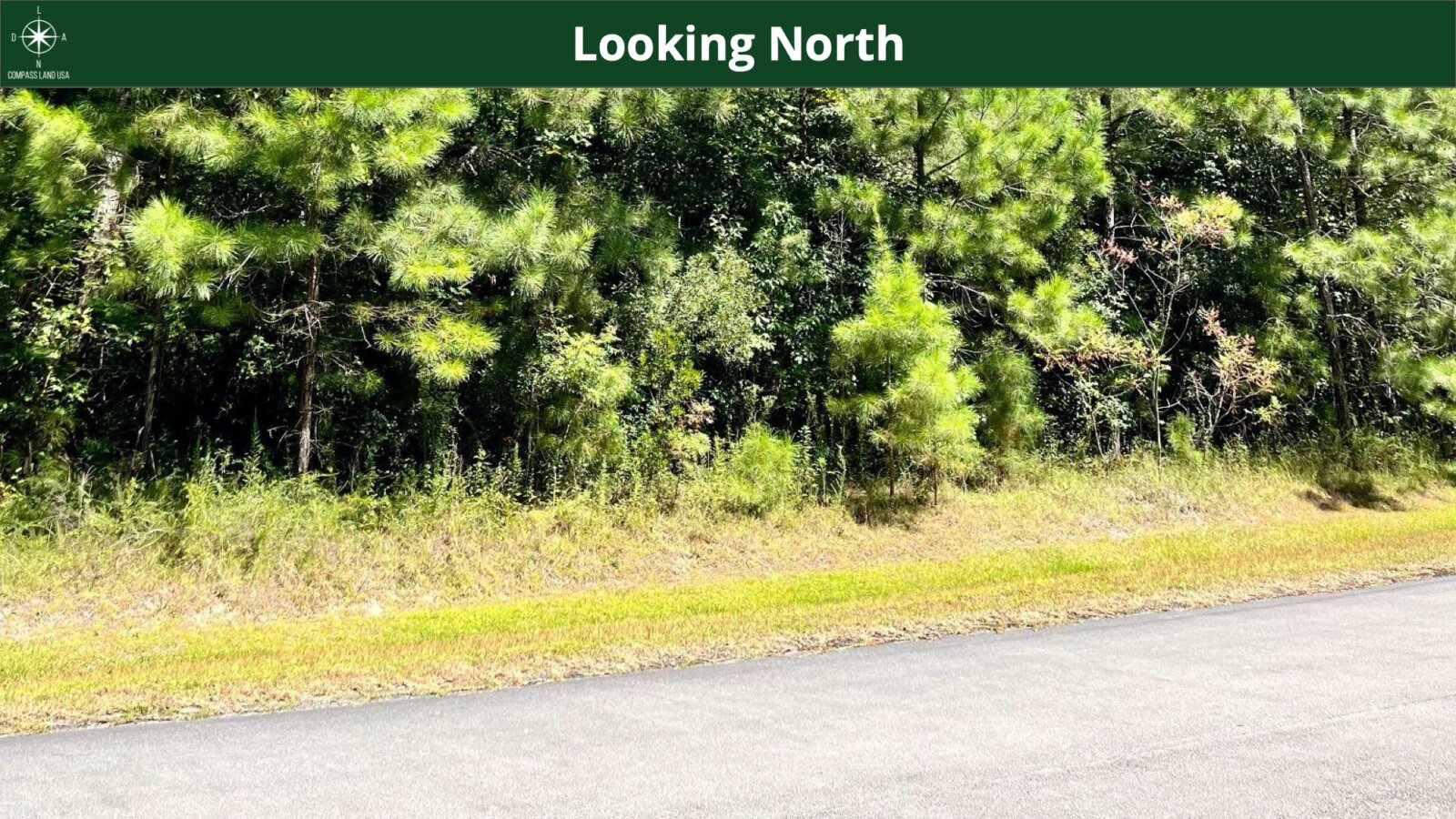 3.29 Acres Land for Sale in Blounts Creek Beaufort County North Carolina