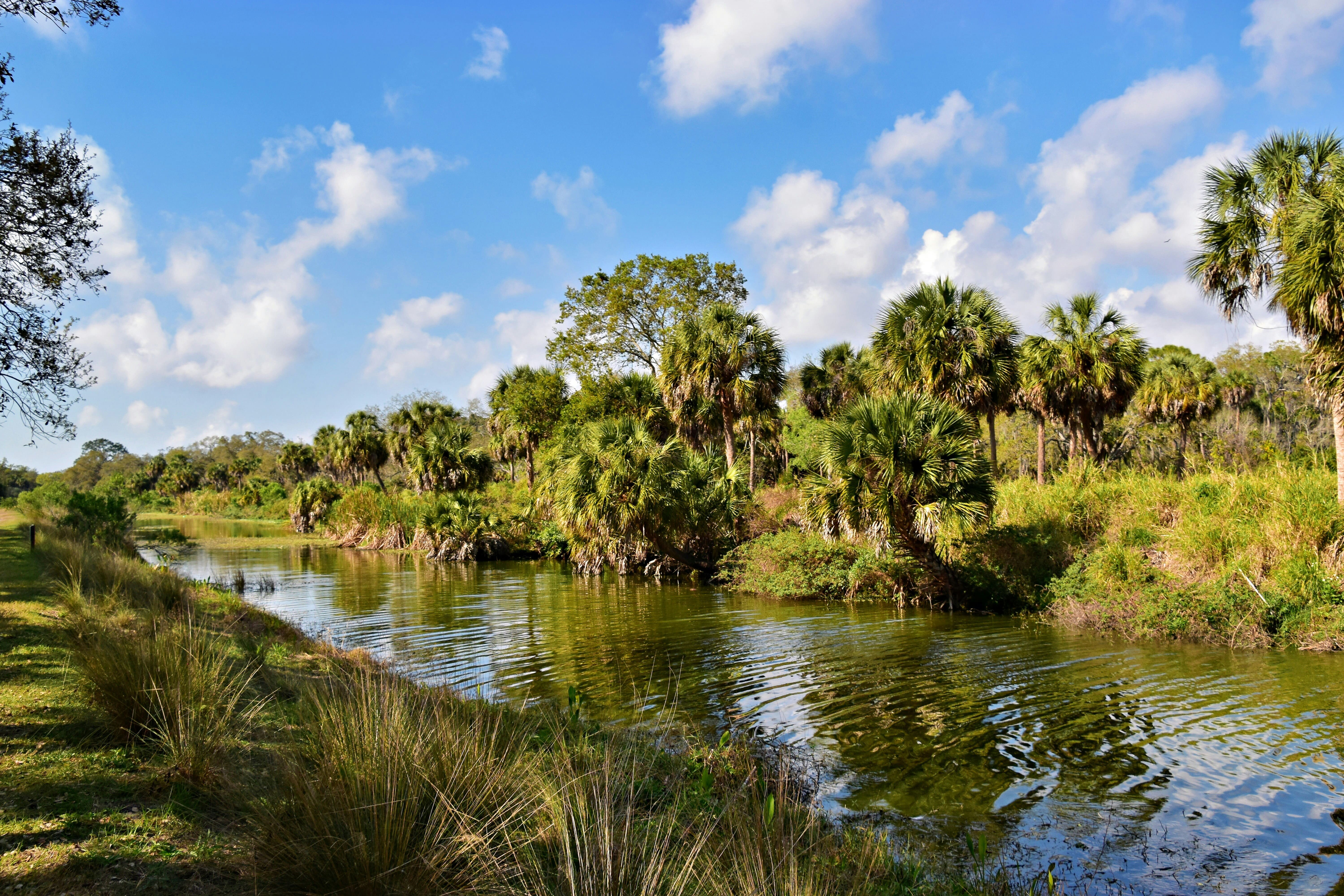 Florida waterfront land in summer