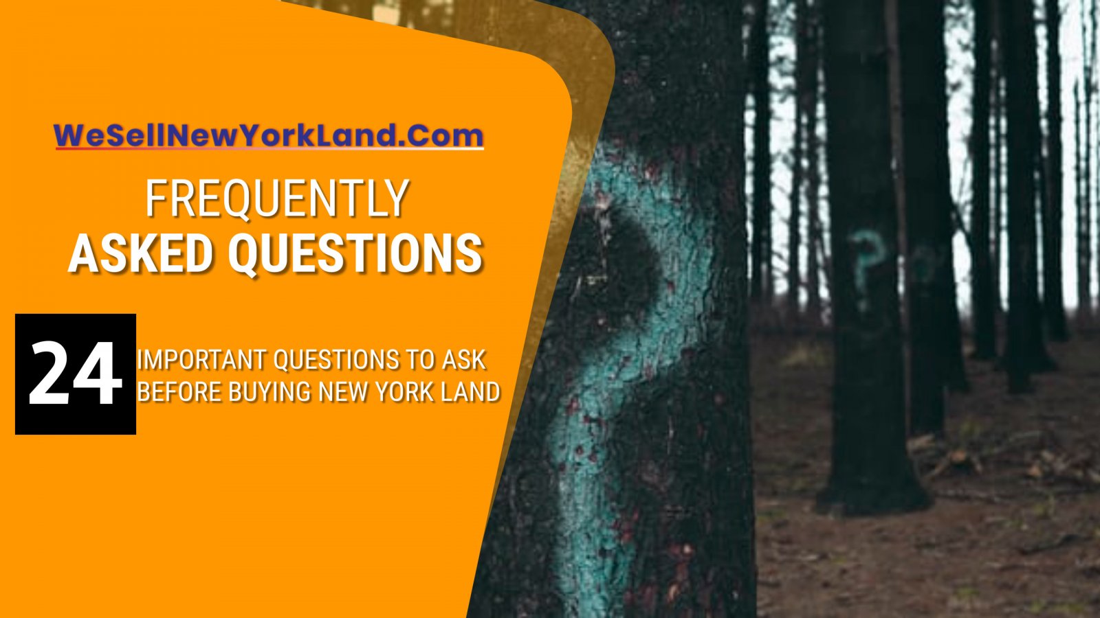 Wholesale Land Investing Questions Vacant Land for Sale By Owner