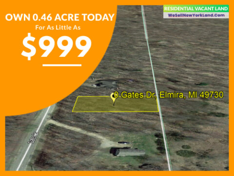 Land For Sale Lot 295 Gates Dr, Elmira, MI