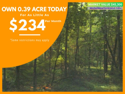 Lane For Sale Rhinebeck, NY Main www.WeSellNewYorkLand.com