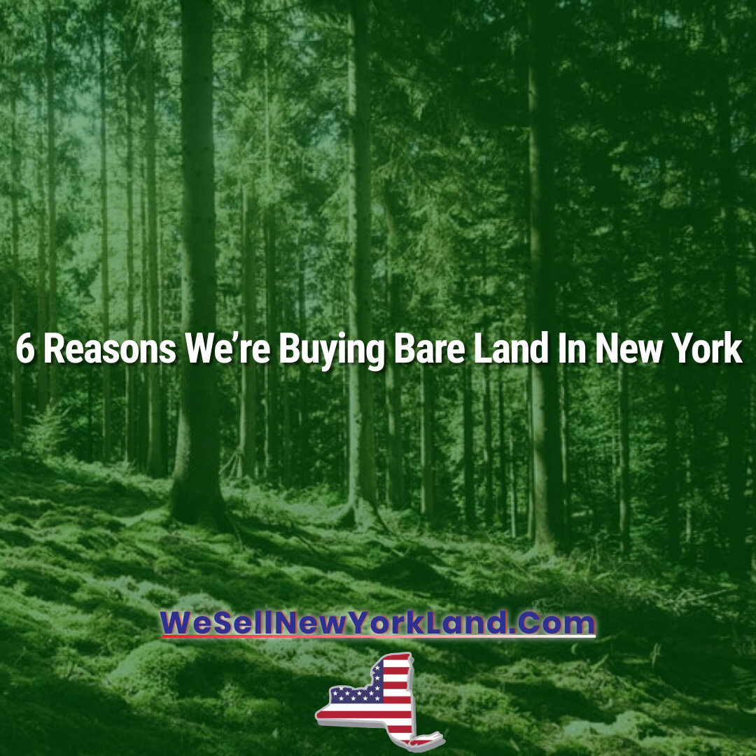 6 Reasons We’re Buying Bare Land In New York Vacant Land for Sale By