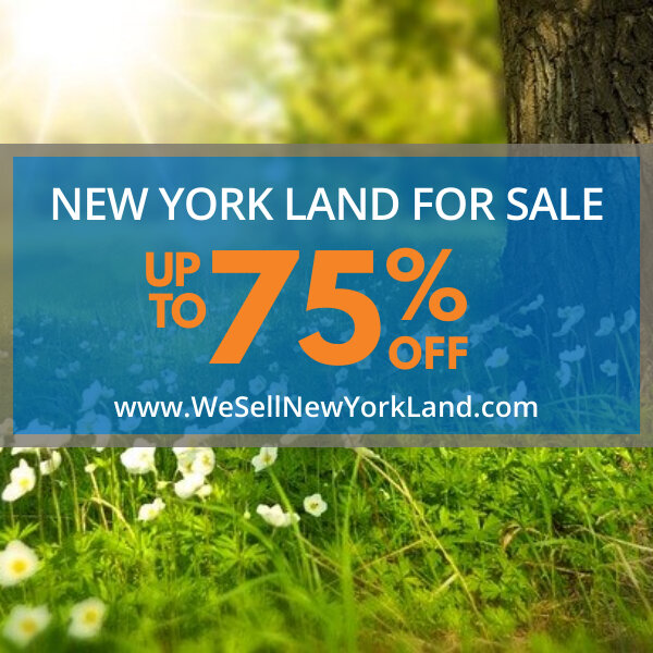 Wholesale Land Investing Simplified.