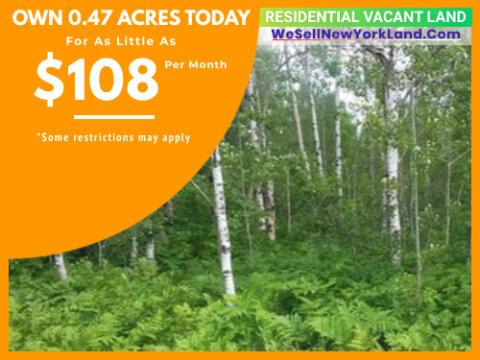 Wholesale Land For Sale Lot 118 Snowridge Trail, Elmira, MI